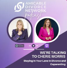 Staying in your lane in Divorce and Coparenting
