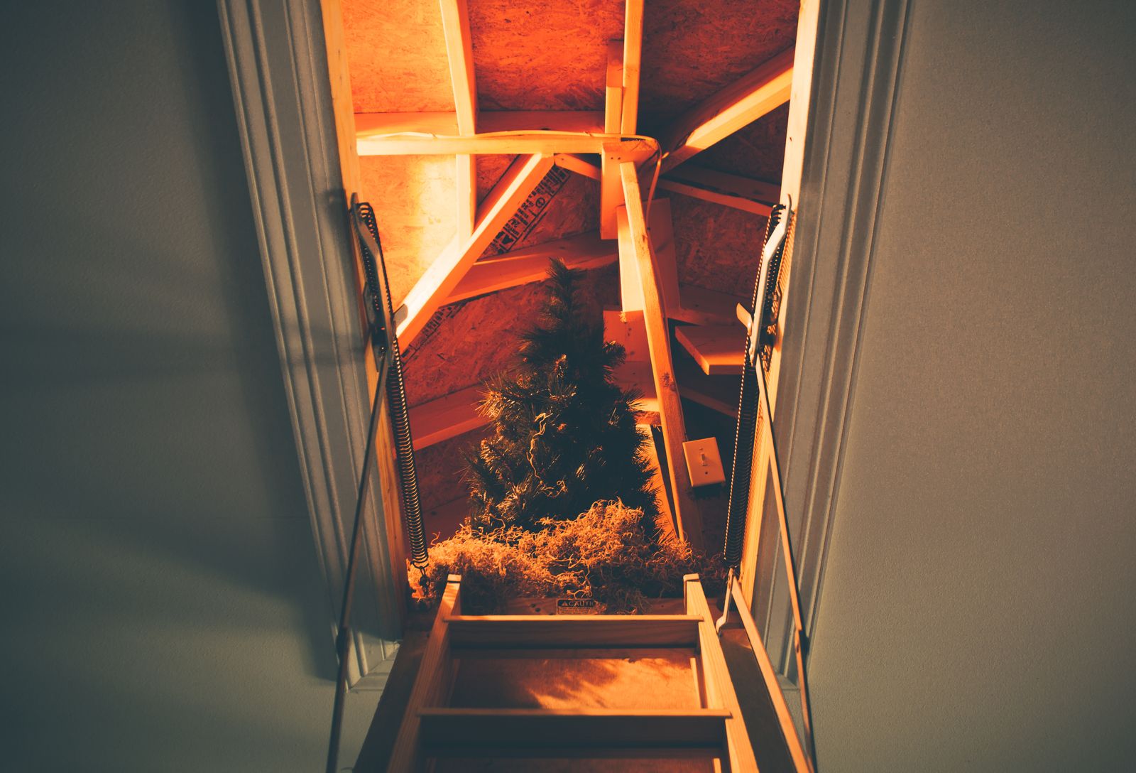 Looking up an attic ladder into a warm, lamp-lit attic