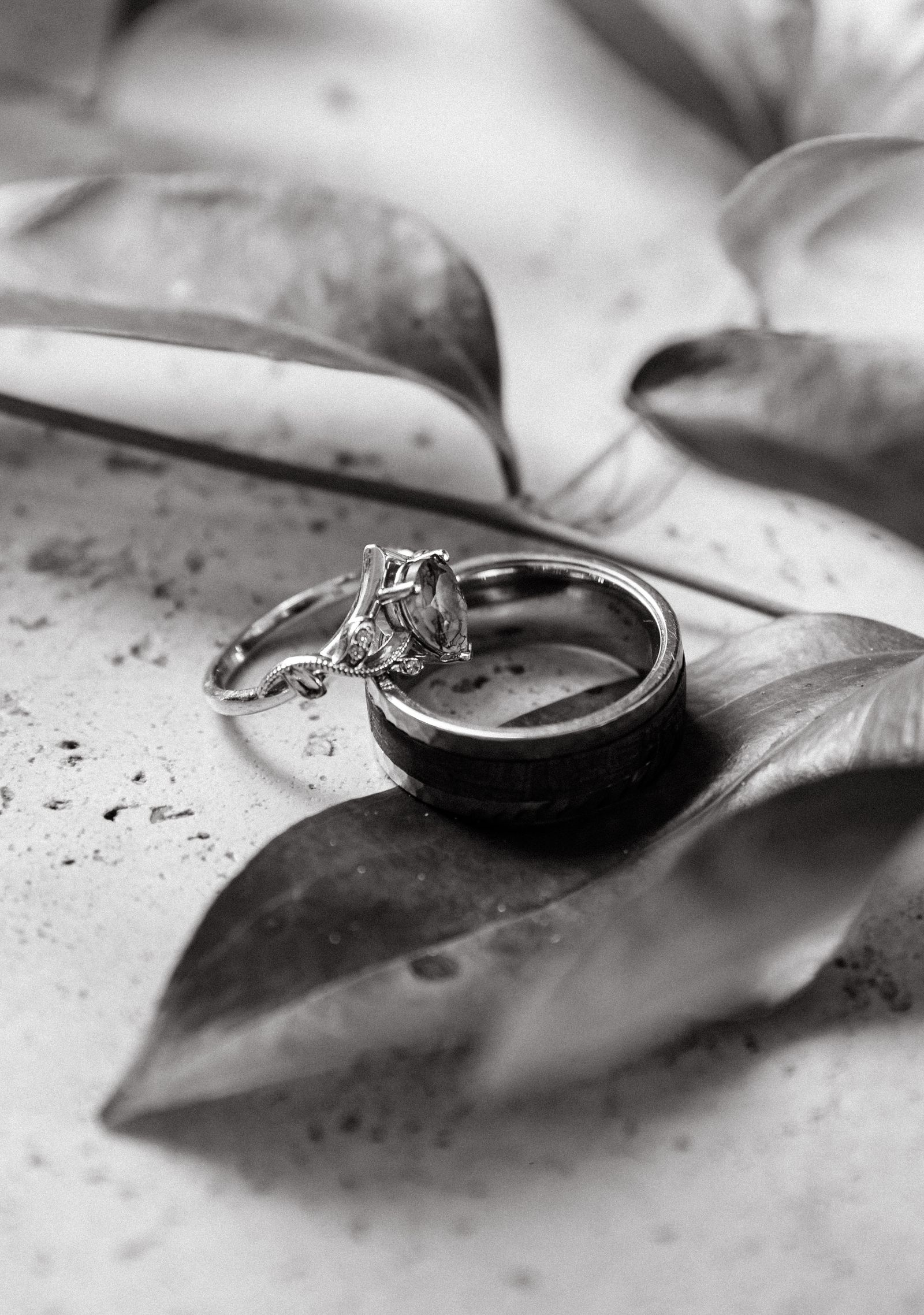 Wedding band and engagement ring set aside on a leaf in black and white, for a column on setting boundaries with your ex and grieving the marriage